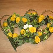 Double Open Heart