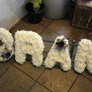 Gran Tribute