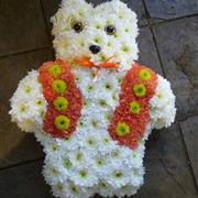 Teddy Orange