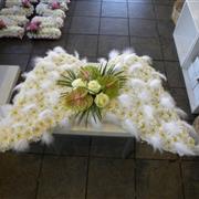 Angel Wings
