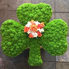 Shamrock